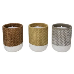Trendspot Assorted Ceramic 4 In. H Reed Citronella Candle
